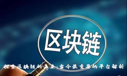 探索区块链的未来：当今最重要的平台解析
