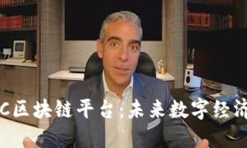 探索POC区块链平台：未来数字经济的基石