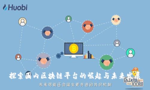 探索国内区块链平台的崛起与未来发展