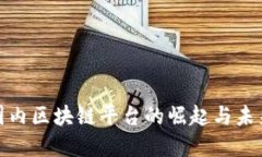 探索国内区块链平台的崛起与未来发展