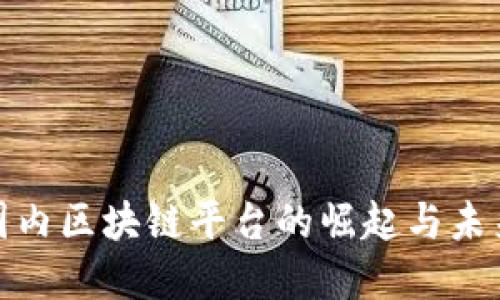 探索国内区块链平台的崛起与未来发展