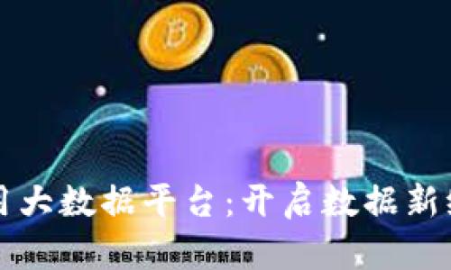 区块链应用大数据平台：开启数据新纪元的钥匙