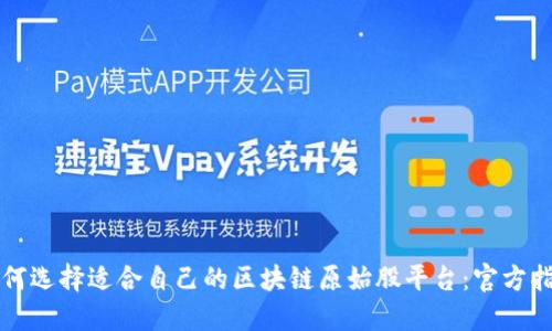 如何选择适合自己的区块链原始股平台：官方指南