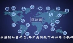 区块链融资平台：外汇局新规下的机遇与挑战