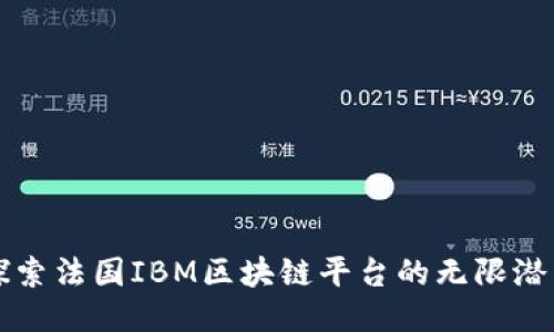 探索法国IBM区块链平台的无限潜力
