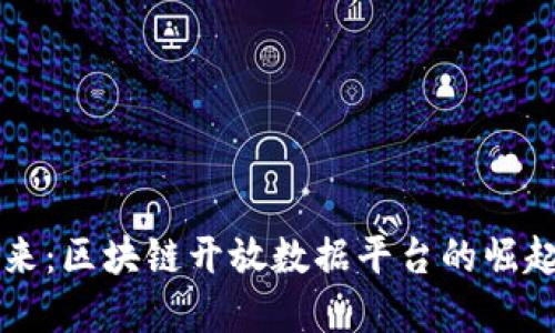 构建未来：区块链开放数据平台的崛起与应用