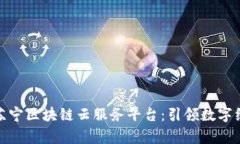 全面解析苏宁区块链云服务平台：引领数字经济