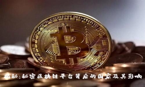 揭秘：秘密区块链平台背后的国家及其影响