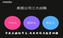开发区块链平台：成本分析与投资回报