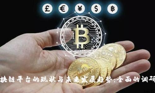深入探究区块链平台的现状与未来发展趋势：全面的调研与分析报告