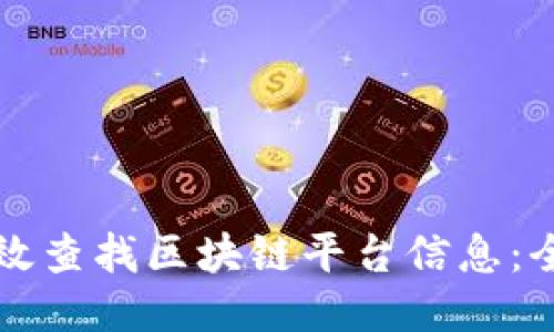 如何高效查找区块链平台信息：全面指南