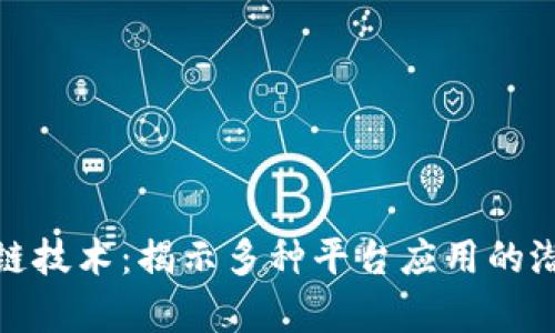 探索区块链技术：揭示多种平台应用的潜能与前景
