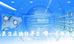 寻找最佳区块链平台：哪一个最适合你？