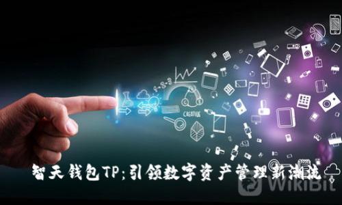  智天钱包TP：引领数字资产管理新潮流