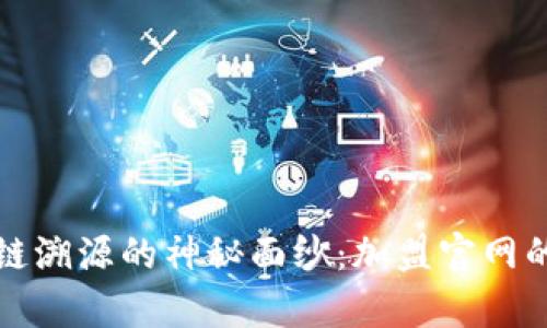 揭开区块链溯源的神秘面纱：加盟官网的全面解析