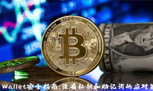 
TP Wallet安全指南：没有私钥和助记词的应对策略