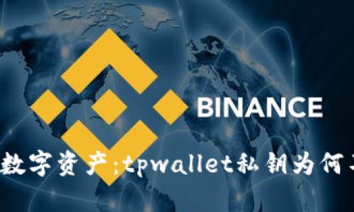 保护您的数字资产：tpwallet私钥为何不能截图?