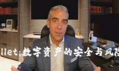 TPWallet：数字资产的安全与风险解析