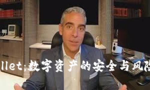TPWallet：数字资产的安全与风险解析