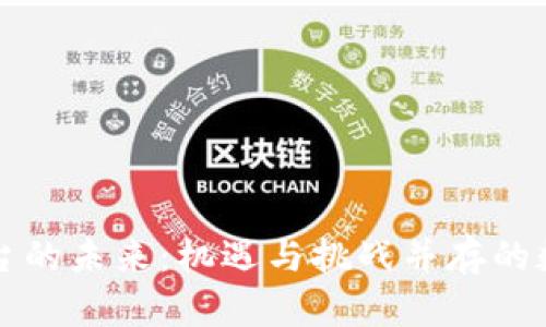 区块链平台的未来：机遇与挑战并存的数字新时代