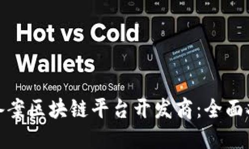 如何成功备案区块链平台开发商：全面指导与策略