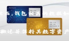   重装TPWallet后的潜在问题与解决方案 /  guanjian