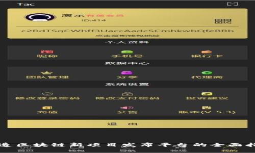 打造区块链新项目发布平台的全面指南