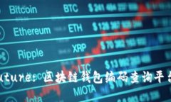  unlock the future: 区块链钱包编码查询平台的崛起与